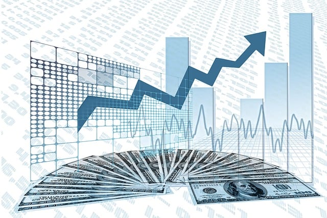 Development Finance Institutions