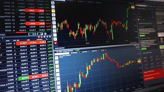Capital Investment